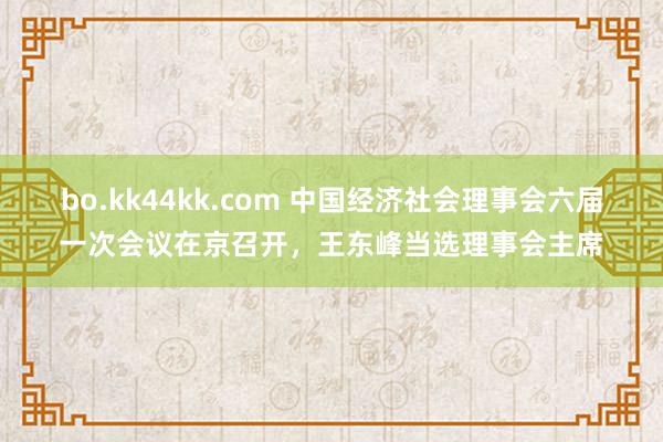 bo.kk44kk.com 中国经济社会理事会六届一次会议在京召开，王东峰当选理事会主席