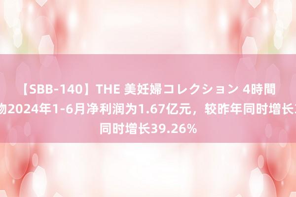 【SBB-140】THE 美妊婦コレクション 4時間 甘源食物2024年1-6月净利润为1.67亿元，较昨年同时增长39.26%