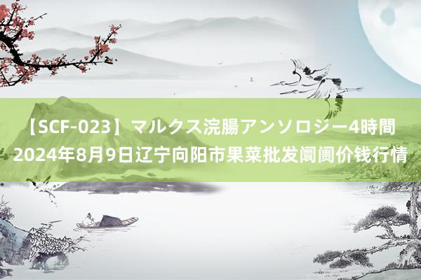 【SCF-023】マルクス浣腸アンソロジー4時間 2024年8月9日辽宁向阳市果菜批发阛阓价钱行情