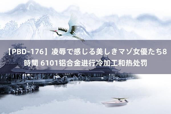 【PBD-176】凌辱で感じる美しきマゾ女優たち8時間 6101铝合金进行冷加工和热处罚