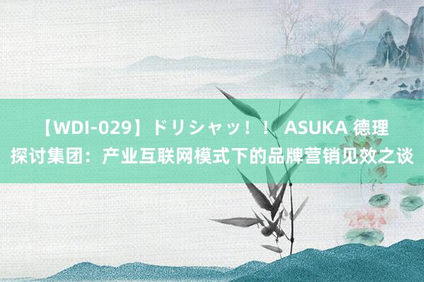 【WDI-029】ドリシャッ！！ ASUKA 德理探讨集团：产业互联网模式下的品牌营销见效之谈