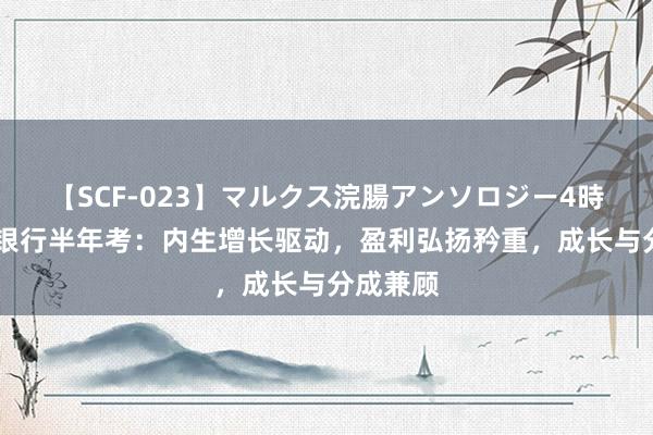 【SCF-023】マルクス浣腸アンソロジー4時間 宁波银行半年考：内生增长驱动，盈利弘扬矜重，成长与分成兼顾