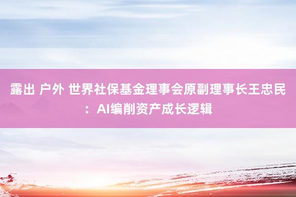 露出 户外 世界社保基金理事会原副理事长王忠民：AI编削资产成长逻辑