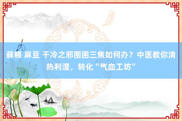 蘇暢 麻豆 干冷之邪围困三焦如何办？中医教你清热利湿，转化“气血工坊”