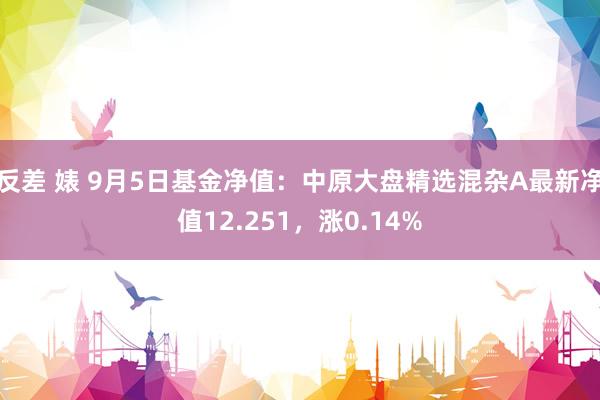 反差 婊 9月5日基金净值：中原大盘精选混杂A最新净值12.251，涨0.14%