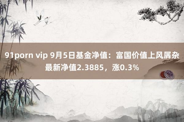 91porn vip 9月5日基金净值：富国价值上风羼杂最新净值2.3885，涨0.3%