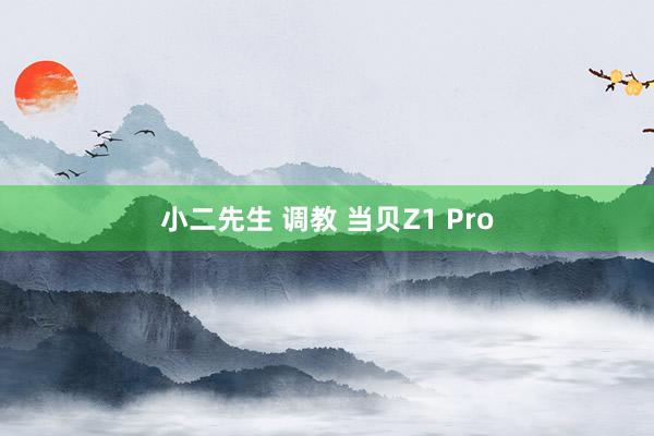 小二先生 调教 当贝Z1 Pro