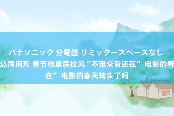 パナソニック 分電盤 リミッタースペースなし 露出・半埋込両用形 春节档票房拉风“不雅众皆还在” 电影的春天转头了吗