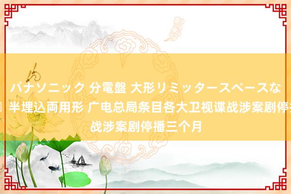 パナソニック 分電盤 大形リミッタースペースなし 露出・半埋込両用形 广电总局条目各大卫视谍战涉案剧停播三个月