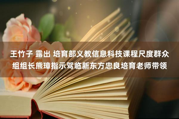 王竹子 露出 培育部义教信息科技课程尺度群众组组长熊璋指示驾临新东方忠良培育老师带领