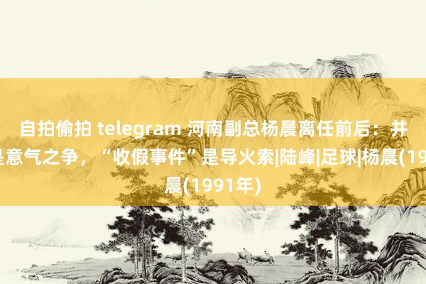 自拍偷拍 telegram 河南副总杨晨离任前后：并不单是意气之争，“收假事件”是导火索|陆峰|足球|杨晨(1991年)