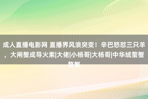 成人直播电影网 直播界风浪突变！辛巴怒怼三只羊，大闸蟹成导火索|大佬|小杨哥|大杨哥|中华绒螯蟹