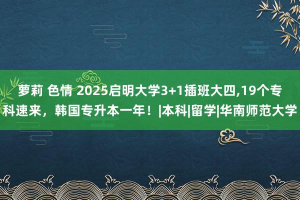 萝莉 色情 2025启明大学3+1插班大四,19个专科速来，韩国专升本一年！|本科|留学|华南师范大学